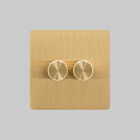 brushed brass 2 gang dimmer switch 2 way