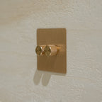 250W_2_Gang(brushed brass 2 gang dimmer switch for led 250W)