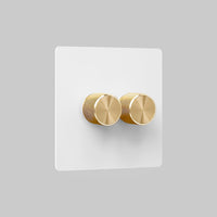 smart 2 gang dimmer switch