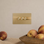 Brushed Brass 1-Gang Two-Way Dimmer Switch