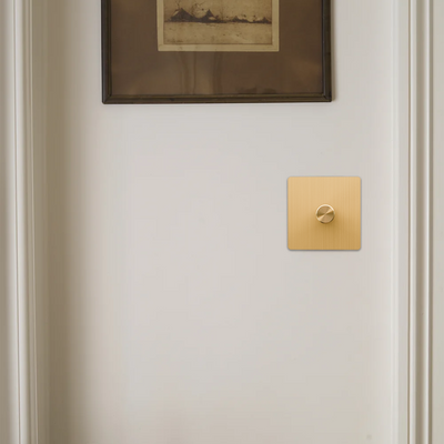 Dummy Dimmer - Solid Brushed Brass 1-4 Gang