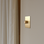 Dummy Dimmer - Solid Brushed Brass 1-4 Gang