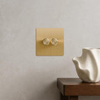 Brushed Brass 1-Gang Two-Way Dimmer Switch