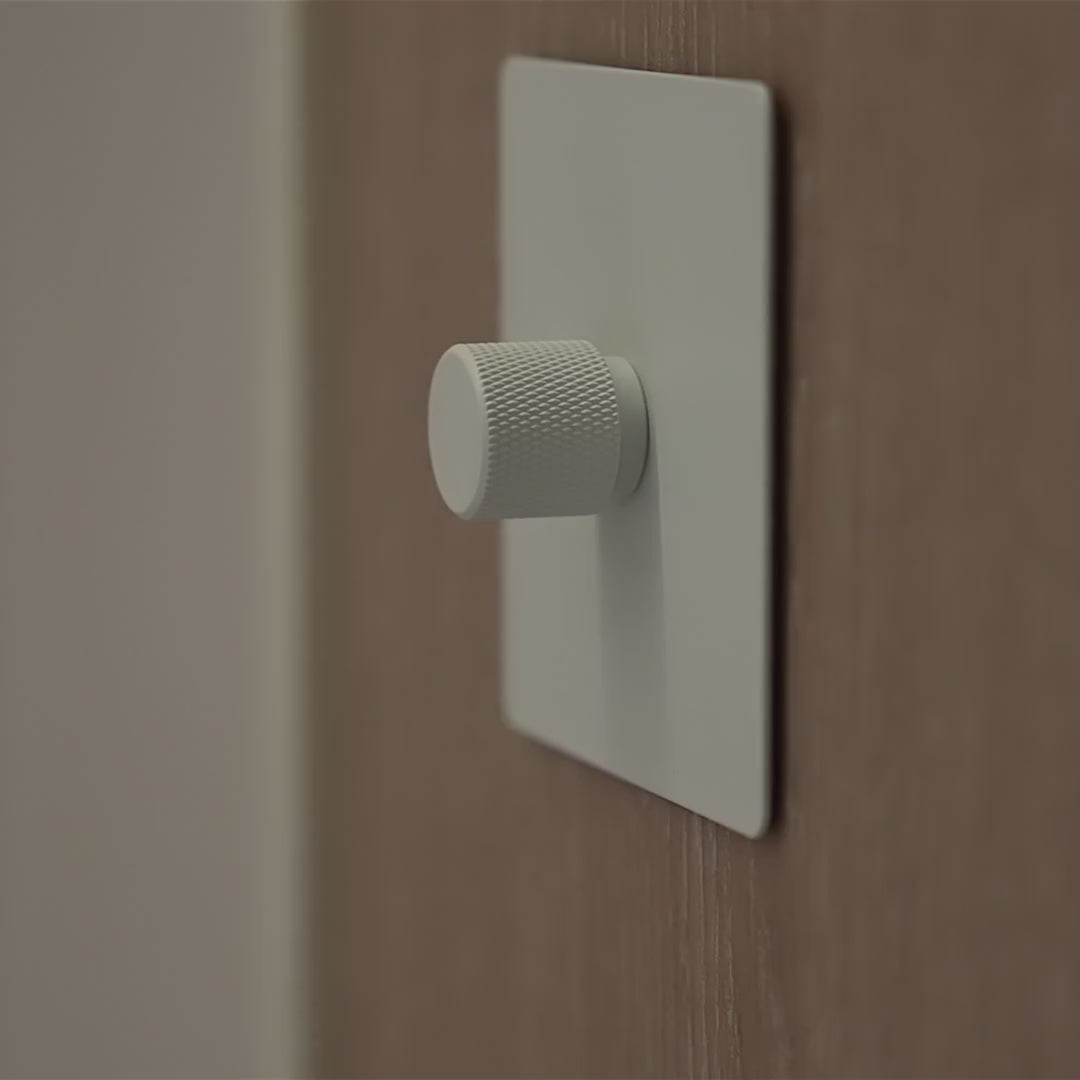 2_way_switch_1_Gang_White(1 gang cream 2 way dummy dimmer)